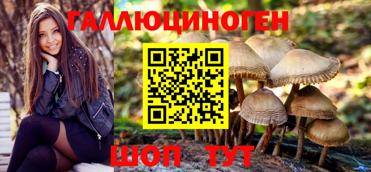 Псилоцибиновые грибы Psilocybe  Вход с VPN  Галлюциногенные грибы Cubensis  Киселёвск 