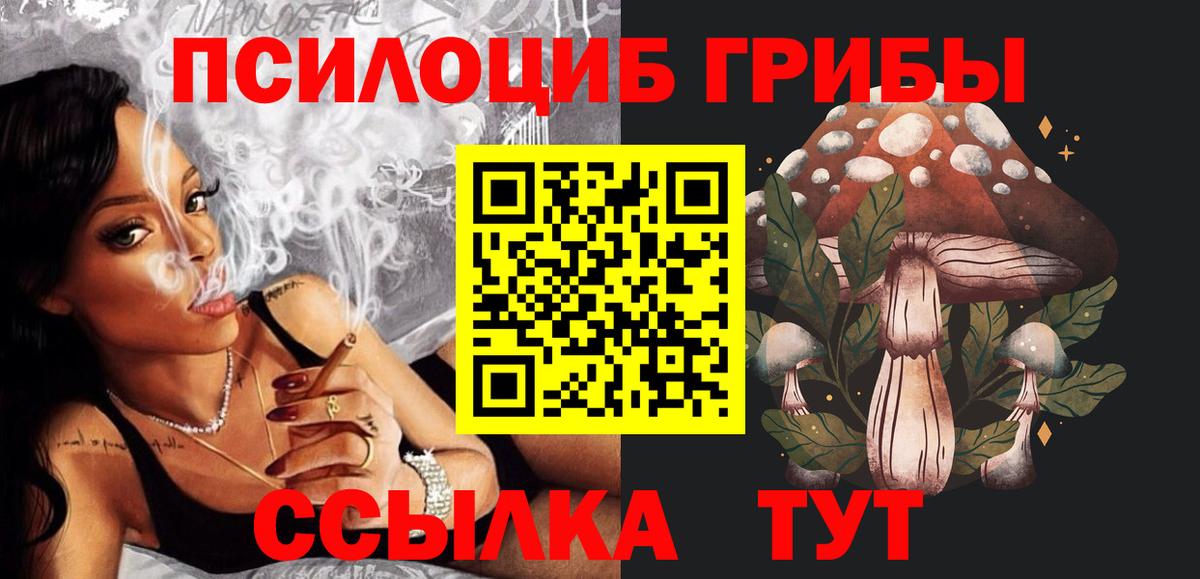 Галлюциногенные грибы прущие грибы Киселёвск