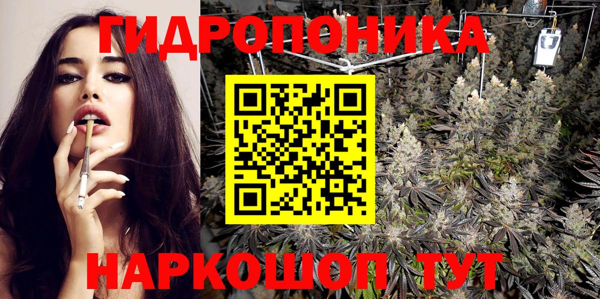 Каннабис гибрид Киселёвск